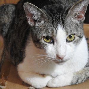 Meet your Posher, Jamie